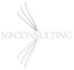 Logo N7 Consulting