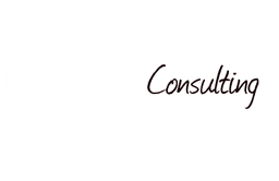 Logo N7 Consulting